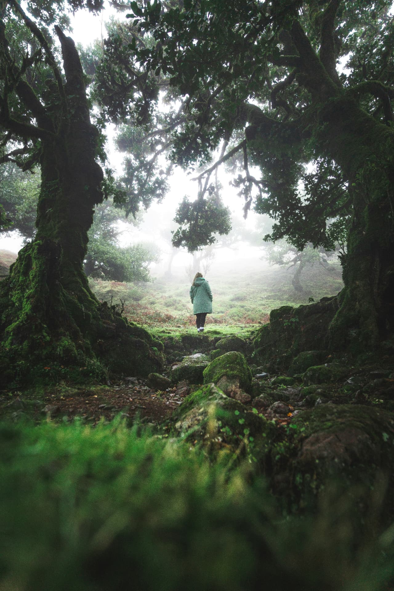 The Motherless Wild gathering